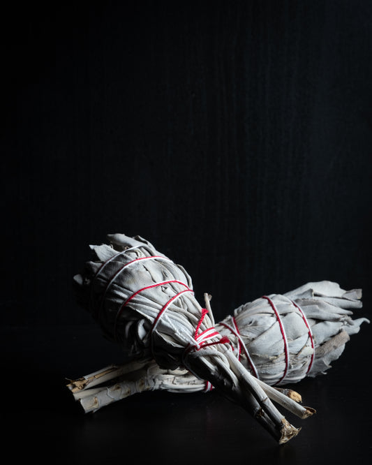 White Sage torch